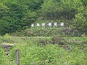 2006-05-30 001.JPG